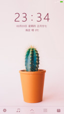 仙人掌的坚强