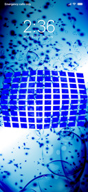 Fly balls_DWM3