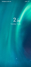 GREEN [Liquid]