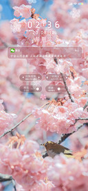 樱花物语
