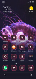 Wildlife_Jelly