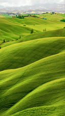 Surrounded by the greenery of tuscany 2