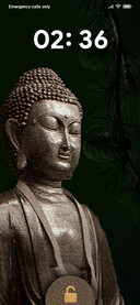BUDDA_DWM19