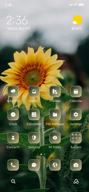 Sunflower