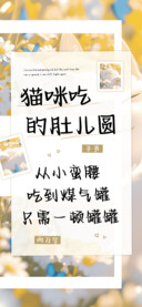 猫咪吃的肚儿圆
