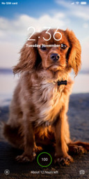 Official MIUI Theme_7
