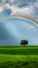 Stunning scenery of the rainbow fields