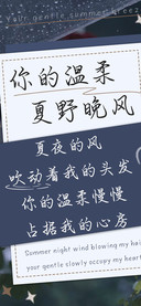 你的温柔夏野晚风