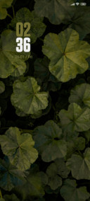 Flower Garden