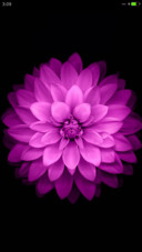 iOS Lotus