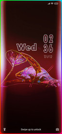 Wildlife_Chameleon