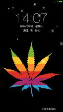 彩色枫叶