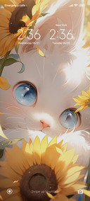 Sunflower and cat