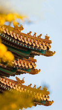 Autumn Scenery of the Forbidden City in Beijing