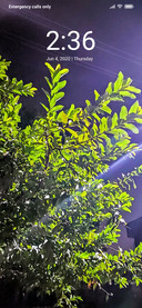 Night Sky_DWM2