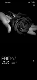 flower off darkness
