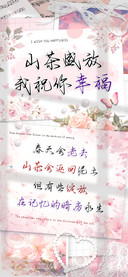 山茶盛放我祝你幸福