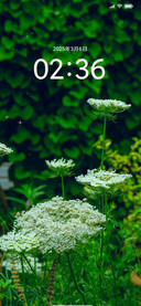 春天的小花 护眼