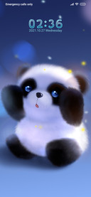 Cute little panda