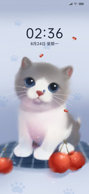 可爱樱桃猫