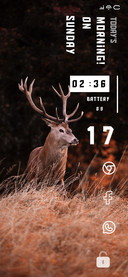 Deer Jungle