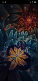 繁花似锦