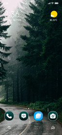 Green Mist