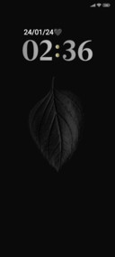 Black Leaf
