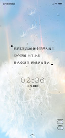 蒲公英的爱恋