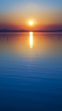 VCG41174545575
