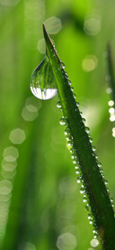 Eye protection wallpaper-PAIXIN