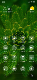 Simple green