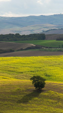 Scenic countryside with rainbow over the horizon