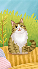 cat