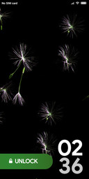 FEATHER_DWM2