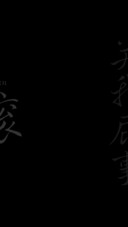 中国制造 关你peace