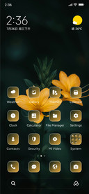 Yellow Flower