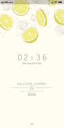Lemon summer