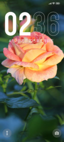 花的浪漫