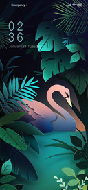 Rainforest