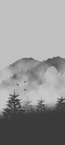雾锁山林