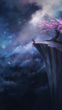 恰逢花开