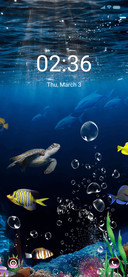 Sea World