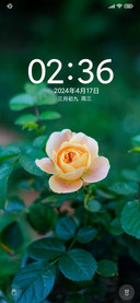 护眼小花朵