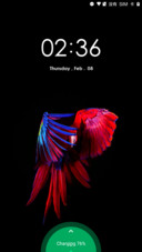 Oxygen OS