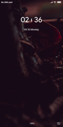 Dark Leaf_DWM2