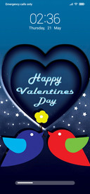 love-BIRDS love 