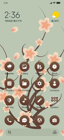 Cherry blossoms