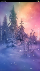 缤纷雪彩