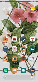 Flowers and plants